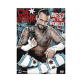 CM Punk: Best in the World (DVD) - Wrestling Thrift