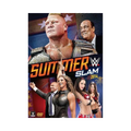 WWE: SummerSlam 2014 (DVD) - Wrestling Thrift